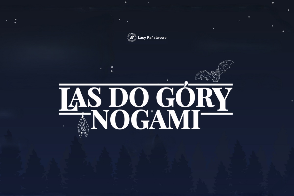 Las do góry nogami – spotkania z nietoperzami
