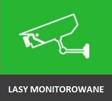 MONITORING