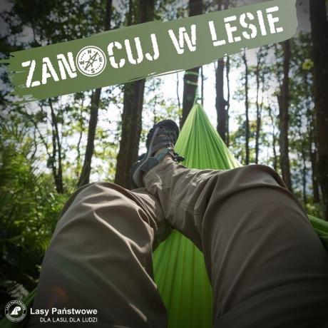 „Zanocuj w lesie” - Leśnictwo Zwartowo